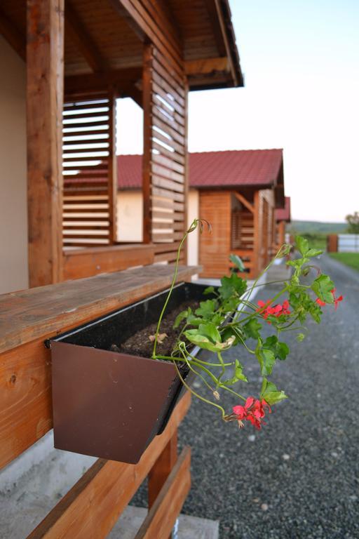 Casute De Vacanta - Complex Ben Villa ออกนา ซีบิวลุย ภายนอก รูปภาพ